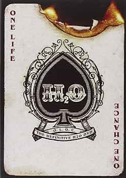 その他 One Life at a Time [DVD] Amazon.co.jp: One Life One Chance [DVD] [Import]: ミュージック